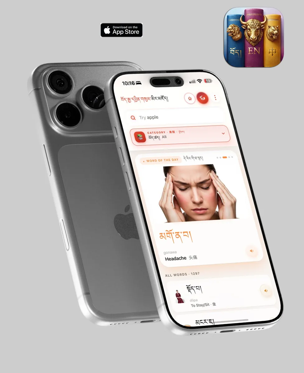 Word of the Day in light mode